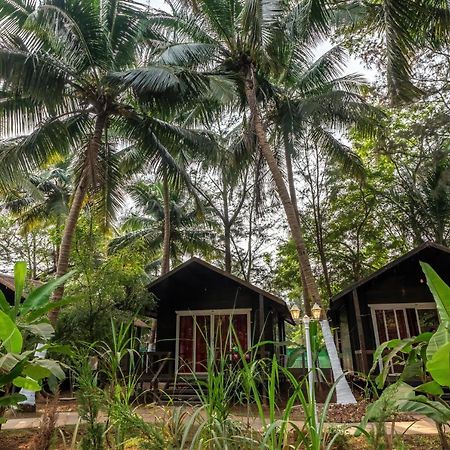 The Exotica Agonda Hotel Exterior photo