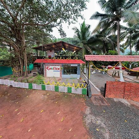 The Exotica Agonda Hotel Exterior photo